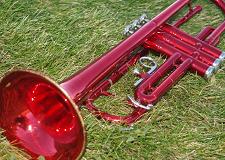 Picture of red trumpet laying in grass