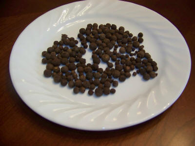 allspice image